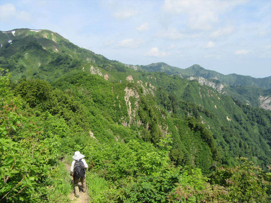 大笠山が見えるのに道は下っている。