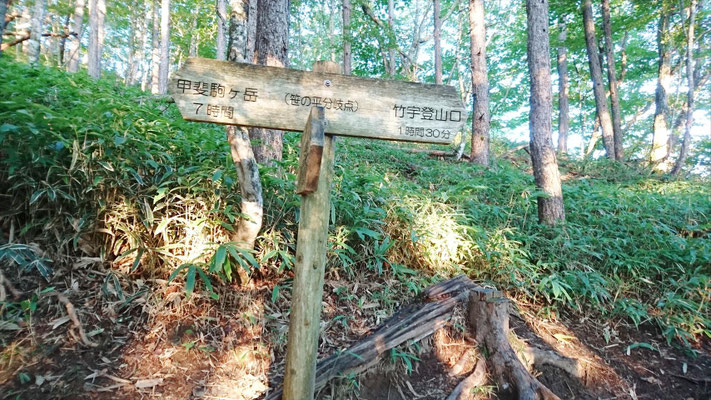 笹の平分岐