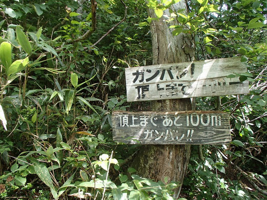 あと100m