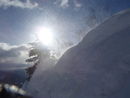 舞う雪がキラキラ輝いてます