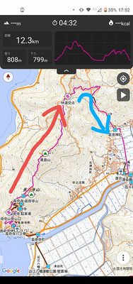 赤の登山道は蜘蛛の巣地獄。そして青の登山道で猪に怯えながら歩きました。