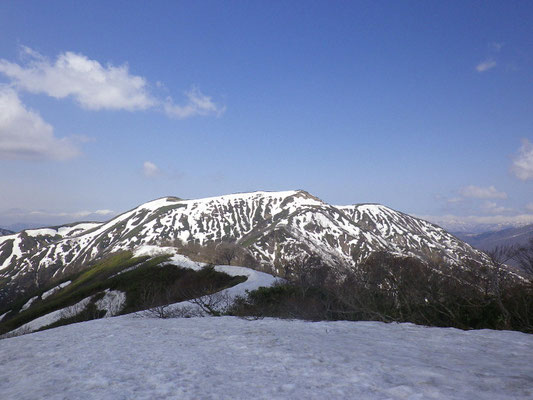前山の雪原から能郷白山