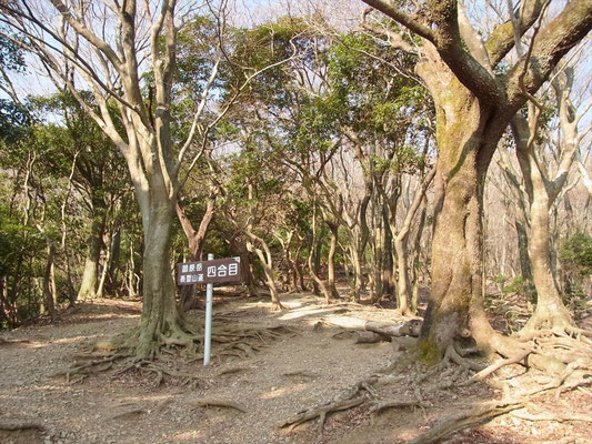広場となっている四合目