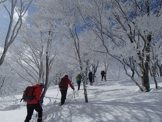 県境の尾根を登って下谷山を目指します