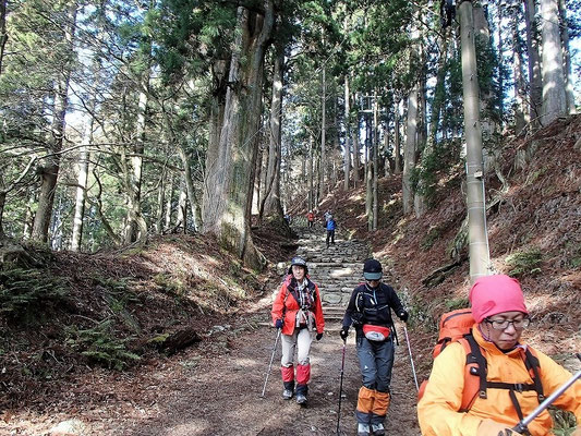 下山は、しばらく表参道を下っていきます