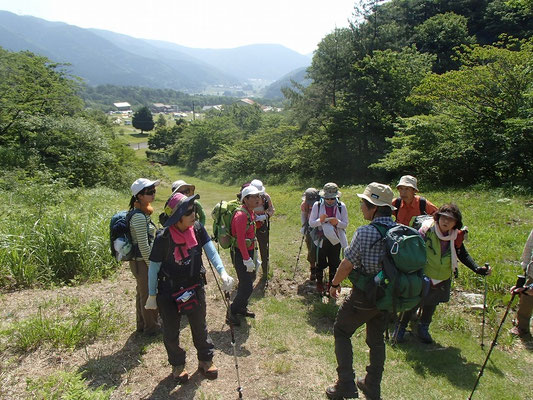 マキノ高原(スキー場跡)この辺は萱場だったということです。