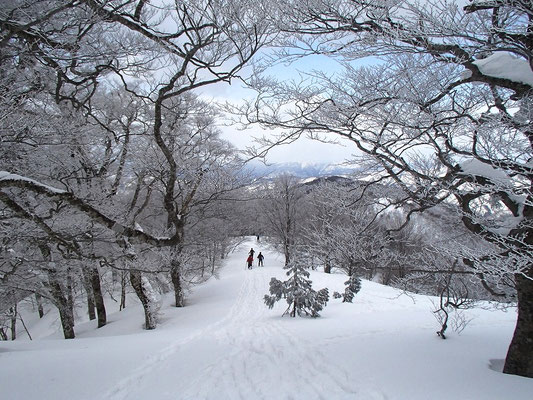 登りの時より枝先の樹氷は少なくなっていた