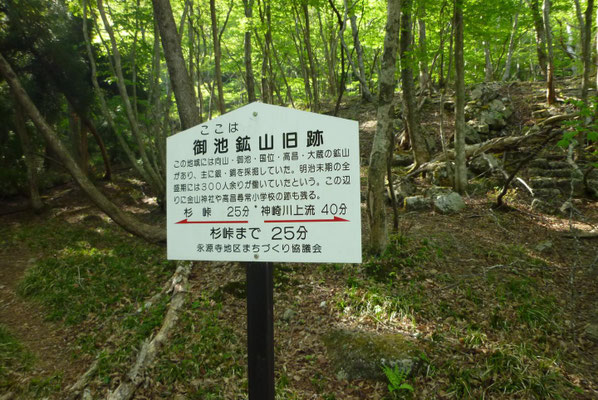 16.高昌小学校跡