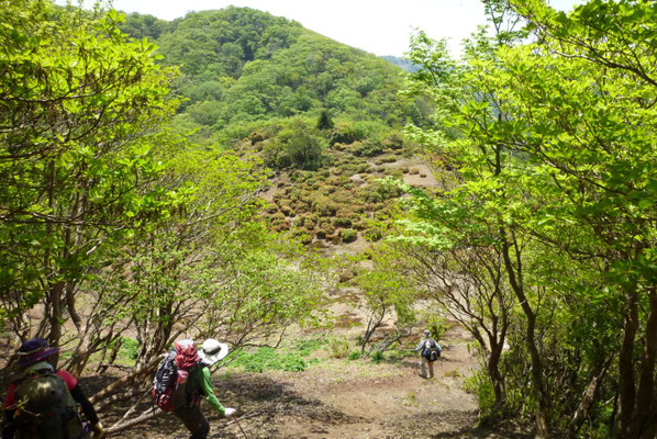 5.大峠が見えてきた