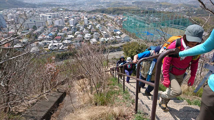頑張って登ります