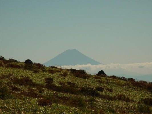 富士山遠望