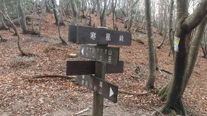 寒風峠ここからヤケオ山へ最後の激登り