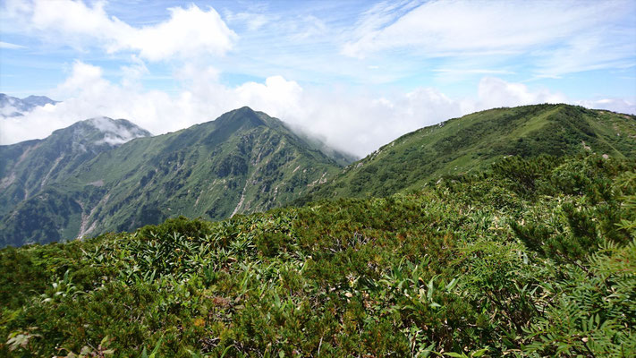 山頂から右から毛勝三山(毛勝山南峰、釜谷山、猫叉山)