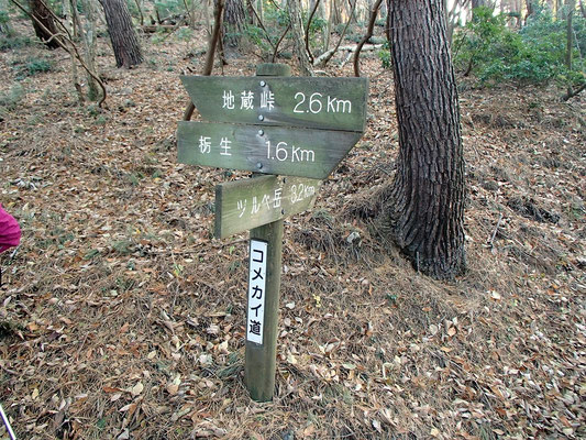 地蔵峠の方に進みます
