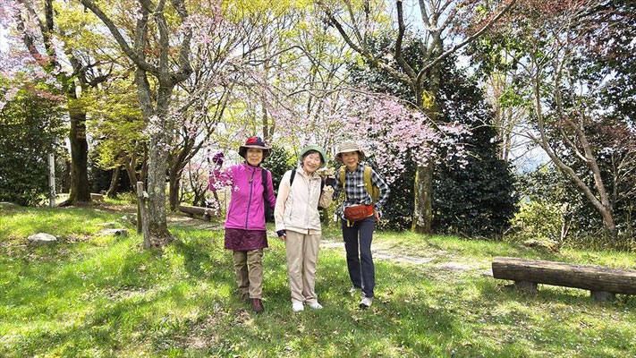 4/11  本丸には桜花が満開