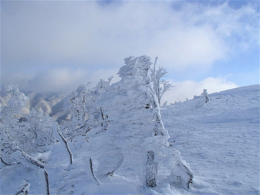 13今日の樹氷は、なかなか大きく育っていました