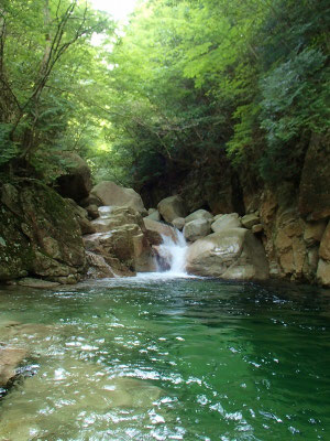 次の景色はこれです