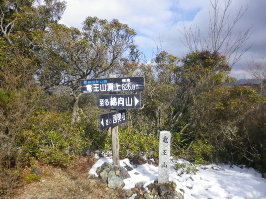 日差しの中の竜王山山頂