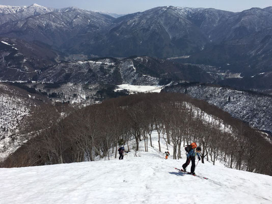 鶴平新道の尾根を登っていきます。