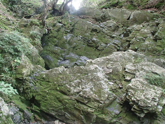 露岩の岩場