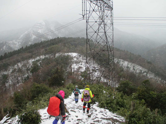1247 鉄塔巡視路下山