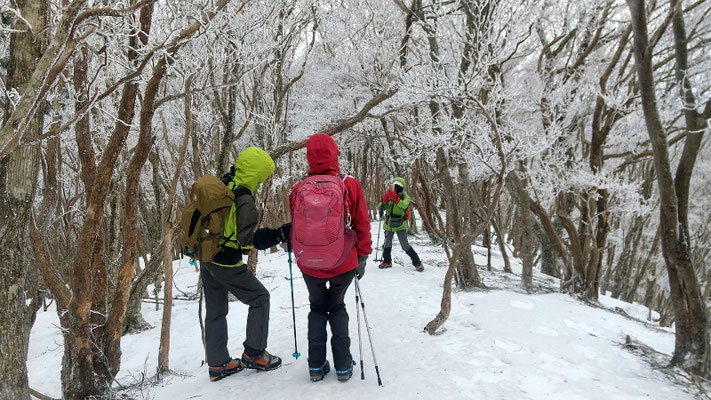 霧氷のトンネル