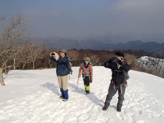 県境尾根に入ると急に開けます