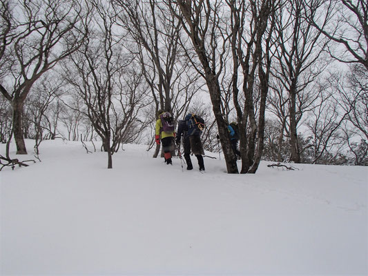 0830坪足で雪がたっぷりな尾根を歩く