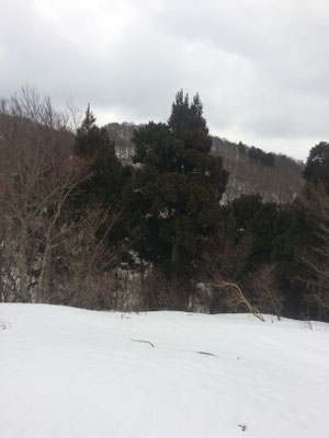 1019p804から山頂が見える