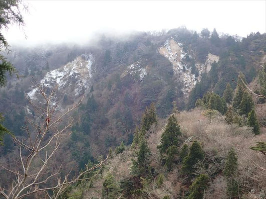 堂満岳方向を見ると雪なのか？ガスってます。