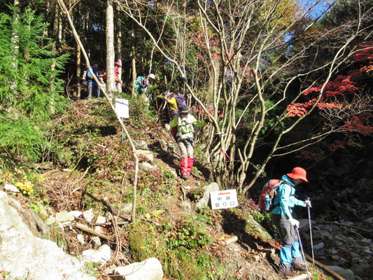 中峠登山口に無事に下山。後は林道を歩いて戻るだけ