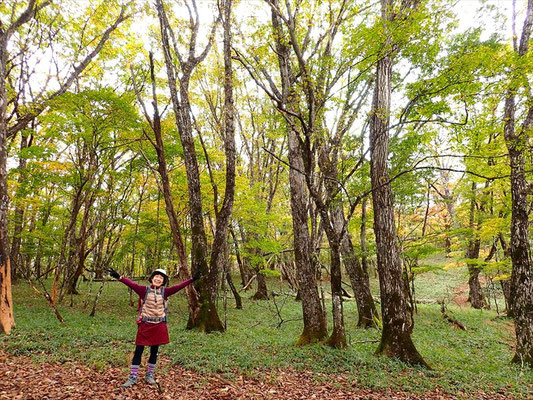 10/22 上は、平らな台地です。