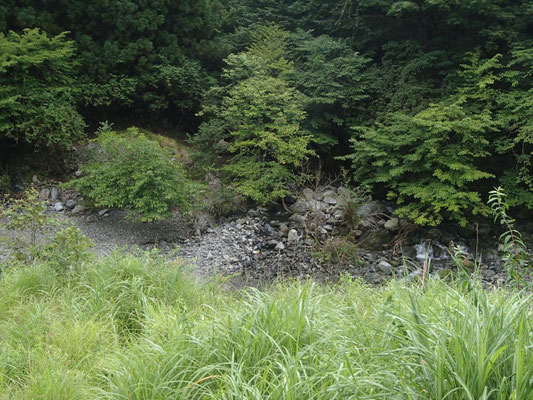 駐車地から安曇川本流を望む ヘク谷出合も見えています