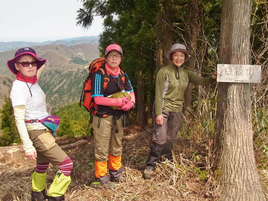 白抜山山頂 (891m)にて
