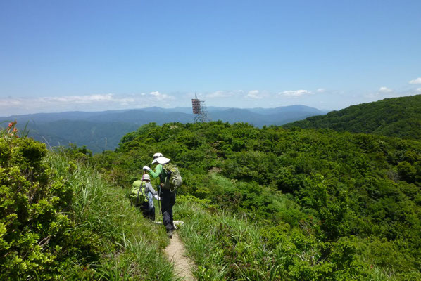 36.夕暮山の反射板