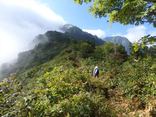 山頂は、まだ遠いが、右手遠くに大明神岳か?