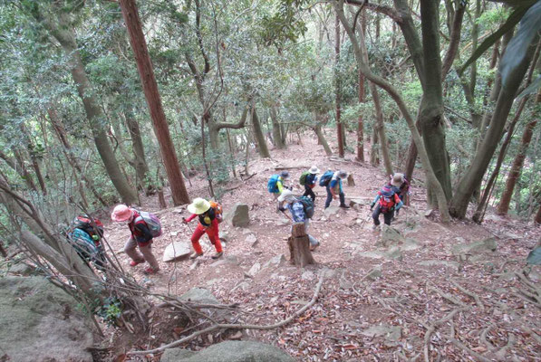 次は鍋蓋山へ。登りはきつい