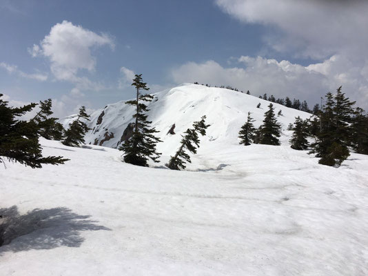 稜線に出ると野谷荘司山山頂が見えました。