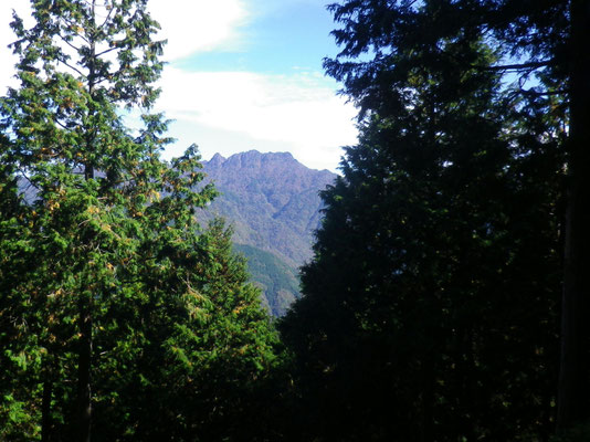 稜線の登山道からすぐ向かいに稲村が岳が見える
