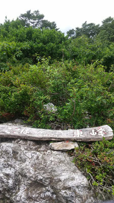 見晴らしの良い横山岳東峰
