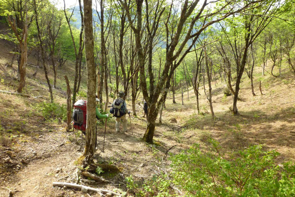 48.まだまだ長い下山路を下ります