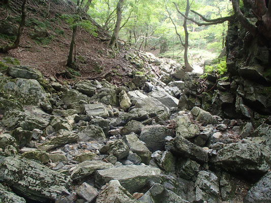 岩がゴロゴロした谷