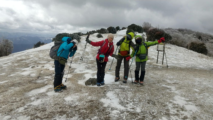 山頂南側のススキ原、八丁平