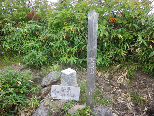 大長山山頂標識、晴れていれば絶景ポイント