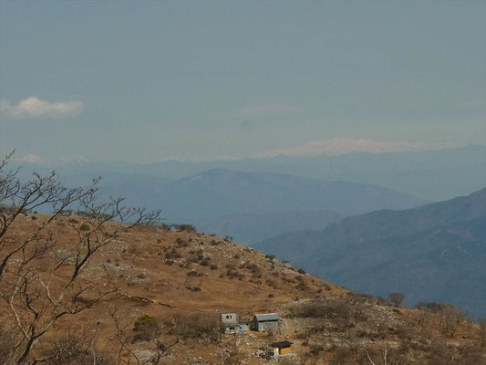 藤原岳山頂から白山