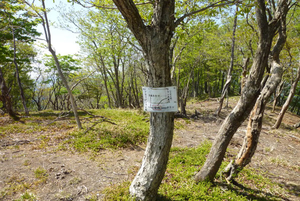 15.明日の「お約束」の場所