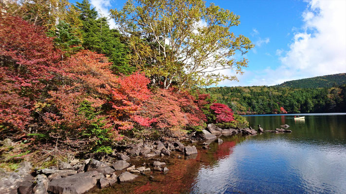 そろそろ、紅葉も見ごろを迎えます。