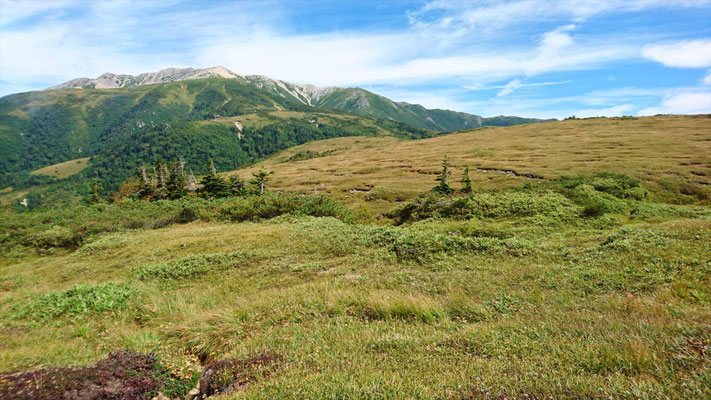 太郎平小屋前から薬師岳(2,926m)