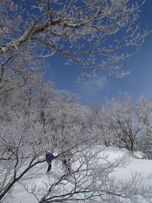 緩い斜度の美しい尾根が続きます