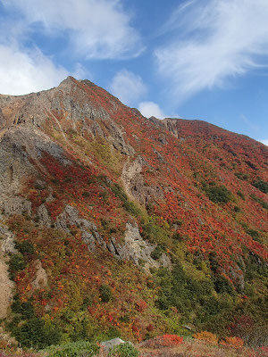 朝日岳山頂付近から谷間までの斜面(高低差は400mぐらい)が全部紅葉しているのがすごいです。